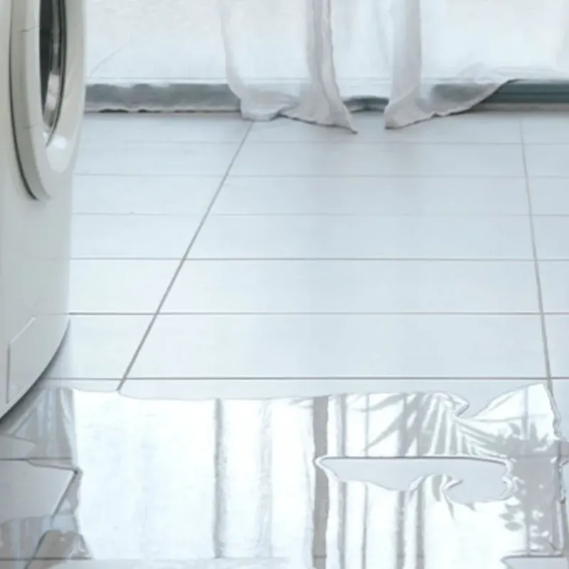 Appliance Leak Cleanup in Warrenton, GA